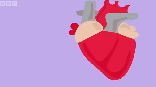 ፈላማይ ምቕያር ልቢ ወድሰብ