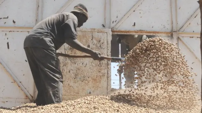 મુખ્ય મંત્રીએ કહ્યું કોંગ્રેસ આ મામલે ફાયદો ઉઠાવવા માગે છે