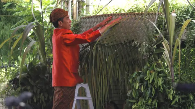 Presiden Joko Widodo melakukan pemasangan bleketepe -anyaman daun pohon kelapa yang masih hijau- sebagai bagian prosesi sehari sebelum pernikahan.
