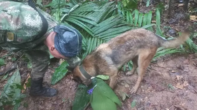 En la zona se encuentran cerca de 100 uniformados adelantando las labores de rescate.