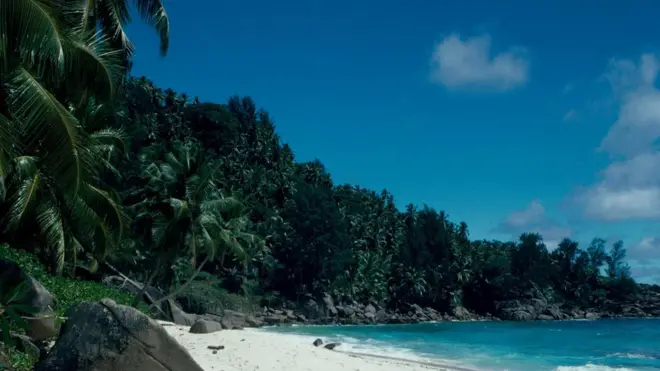 أحد الشواطئ لجمهورية السيشيل