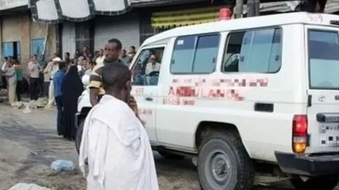 Aanaa Lagamboo koronaavaayirasii