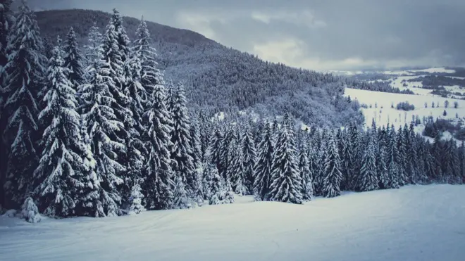 ‎Зимова Боржава. Дорогою на гору Гимба‎