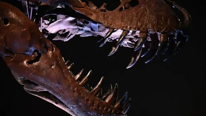 Тираннозавр Стэн