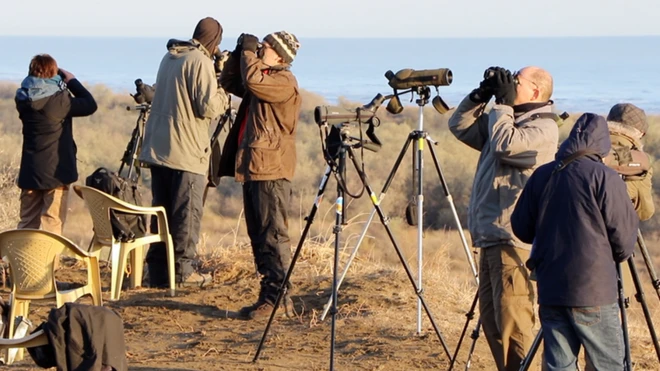 Avropanın müxtəlif yerlərindən olan insanlar hər il Azərbaycana gələrək quş köçünün müşahidəsini aparırlar.