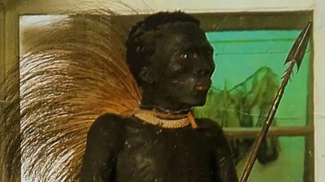Museu Darder