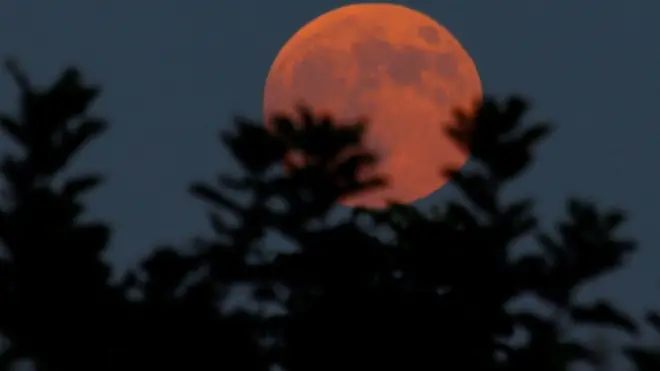 Так в?н вигляда? в турецьк?й Антал??