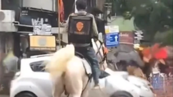 या 'घोड्या'ला शोधून द्या, स्वीगीची आपल्याच ग्राहकांना 'ऑर्डर'