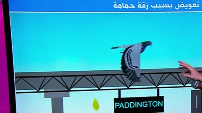 تعويضات بالآلاف لمسافر سقط بسبب زقة حمامة