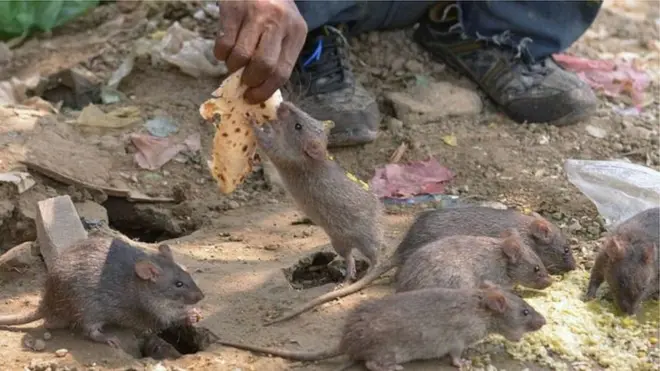 Di oga for bodi mata inside Delta State say make pipo for di state no panic.