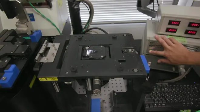lab