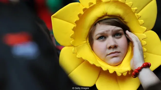 Nərgiz gülünün elmi adı narcissus-dur