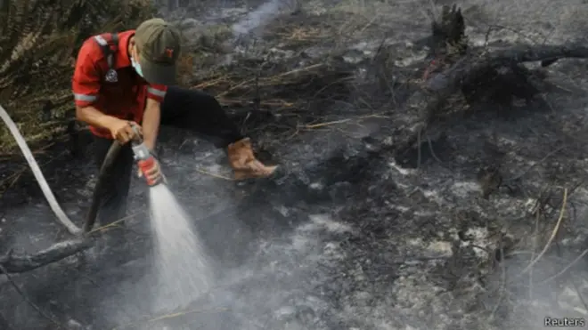 Kebakaran hutan di Indonesia kerap terjadi akibat pembukaan lahan sawit
