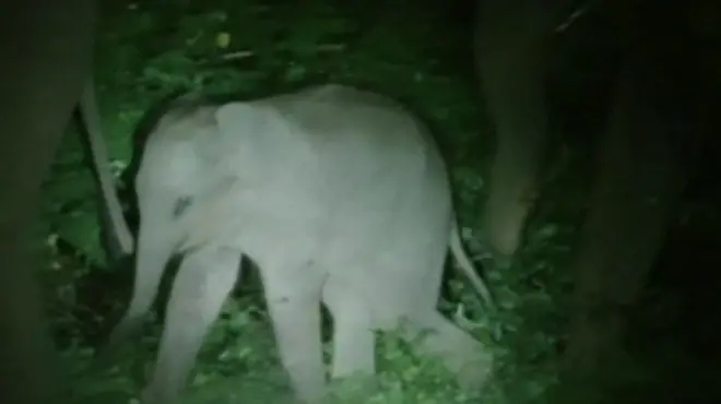 හම්බන්තොට