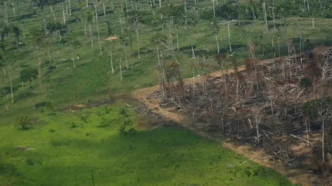 Sem controle do desmatamento da Amazônia, mundo não consegue alcançar metaaplicativo de apostas que da dinheirocontrole das mudanças climáticas, dizem ambientalistas