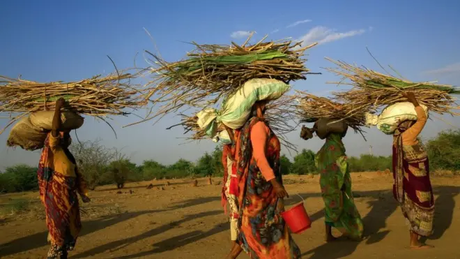 femmes portant des fagots de bois