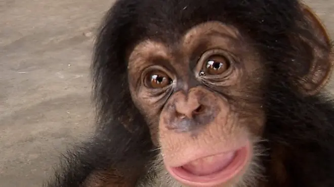 Nemley Junior a échappé aux trafiquants