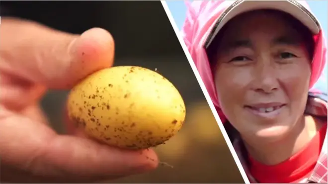 చైనా మహిళ, చిన్న బంగాళాదుంప