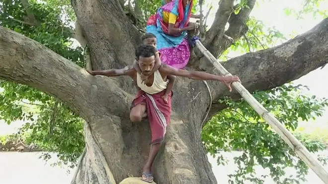 వాగు దాటాలంటే చెట్టు ఎక్కాలి