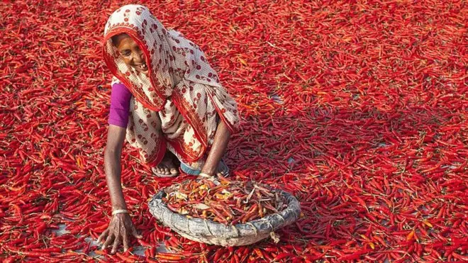 بنگلہ دیش سرخ مرچ