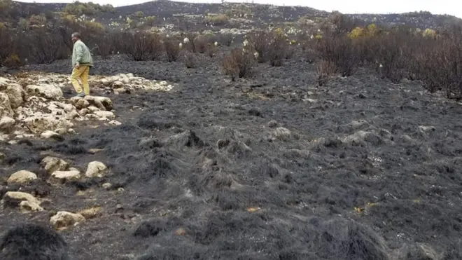 የተቃጠለው የፓርኩ ክፍል