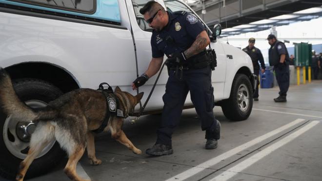 Un funcionario de la CPB revisa un automóvil junto con un perro anti narcóticos.