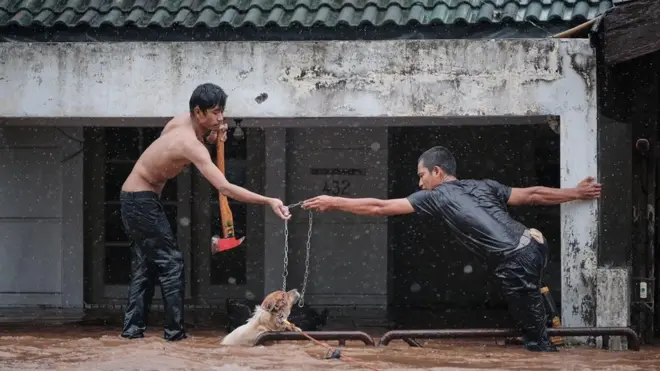 Dua pemadam kebakaran Kota Depok terjun menyelamatkan anjing.