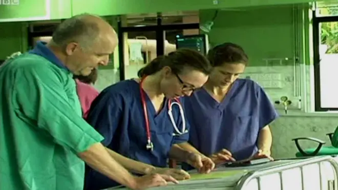 බ්රිතාන්ය වෛද්ය