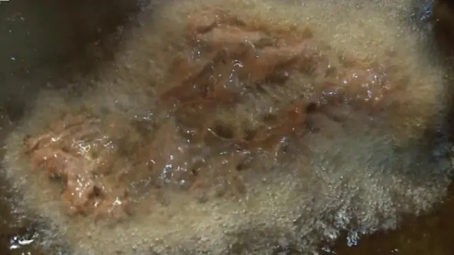 بی بی سی اس سیریز میں گوشت کے پکوان بنانے کی مختلف ترکیبیں اپنے صارفین کے لیے لائی ہے۔ دیکھیے اور اپنی پسند کی گوشت بنانے کی ترکیب آزمائیے۔