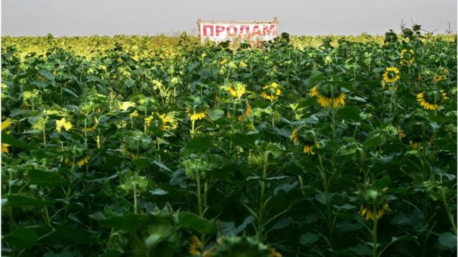 Вже за рік земля в Україні може стати справжнім товаром