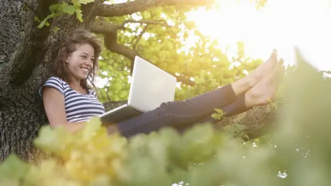 A woman working on a laptop sits in the branches of a tree, barefoot, surrounded by greenery illuminated by the summer sun