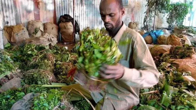 Suuqa ugu weyn ee jaadka Kenya ayaa ah Soomaaliya