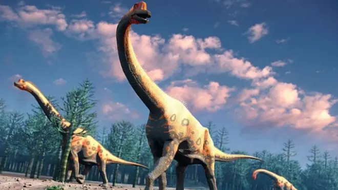 No hay en la tierra ninguna criatura parecida a los dinosaurios saurópodos.