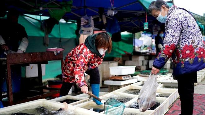 باعة الأسماك يعملون في سوق مفتوح في مدينة ووهان في مقاطعة هوبي
