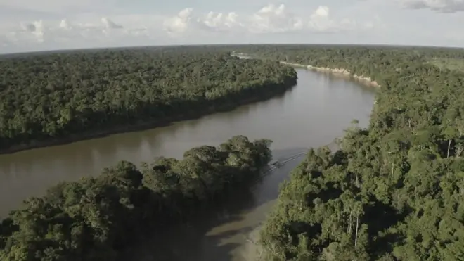 تحقیق بی‌بی‌سی: چگونه غیرقانونی جنگل‌ آمازون را می‌فروشند؟