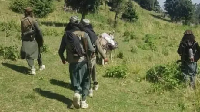 طالبان، سوات، ٹی ٹی پی