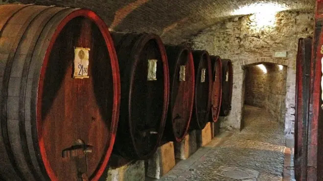 （圖片來源：Silvia Marchetti）