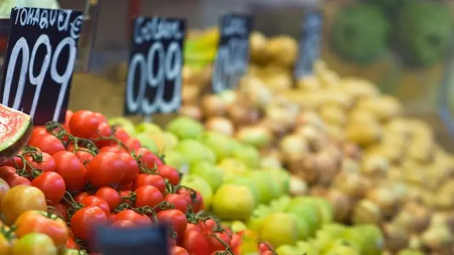 शाकाहारी