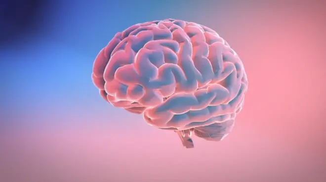 мозок і мігрень
