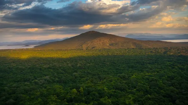 Etiopía ha perdido partenetbet saque pixsus bosques durante los últimos años.