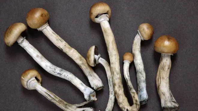 Psilocybin, atau 'jamur ajaib', telah diberikan sebutan 'nafas', yang memungkinkannya untuk diteliti secara klinis untuk keperluan medis