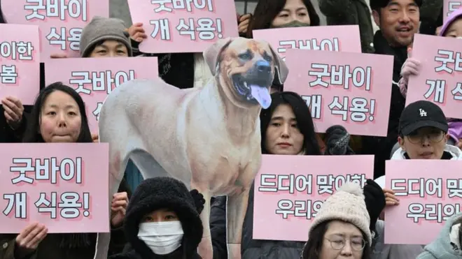 Protesters welcome ban on dog meat trade