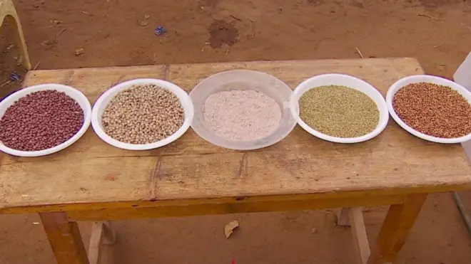 People wey babi science inside Kenya dey try trying to find ways harvest enough food for everybodi.