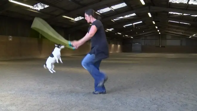 Собака на скакалке