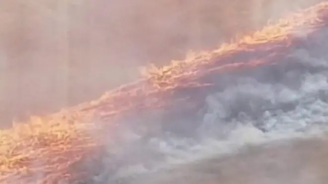 "نهر من نار" يجتاح حقلا بأستراليا