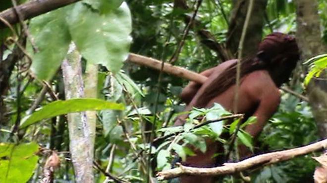 亚马逊孤独土著身影（巴西FUNAI资料图片）