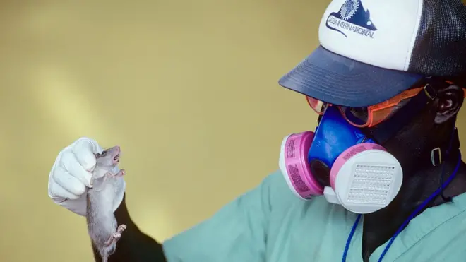 Man wey dey hold rat for hand