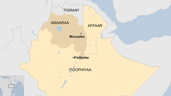 Magaalaa Kibba Walloo - Wucaalee (kaartaa)