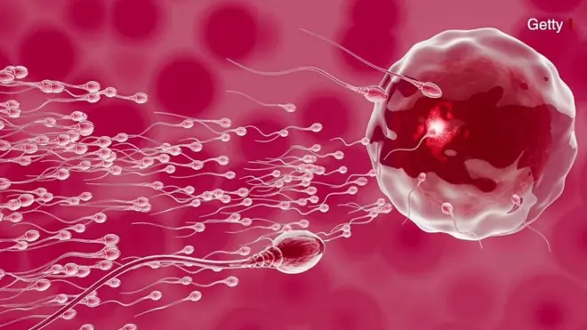 స్పెర్మ్ కౌంట్