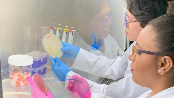 Estudantes de doutorado que participaram da pesquisa pubicada analisam amostras